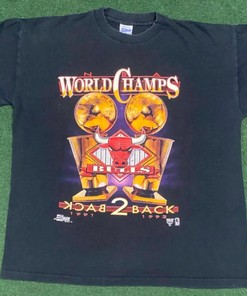 1992 Chicago Bulls Back 2 Back Champions T Shirt Hoodie Sweatshirt Full Size Full Color