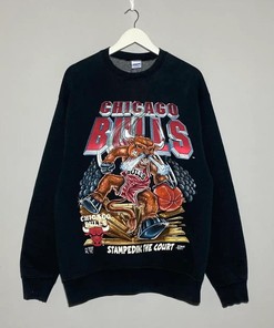 Chicago Bulls Vintage Style 90's Band T-Shirt Sweatshirt Hoodie Reprinted Gift for Chicago Bulls Fans