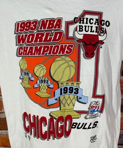 Vintage 1993 Chicago Bulls NBA Champions Shirt Sweatshirt Hoodie Gifts for Fans