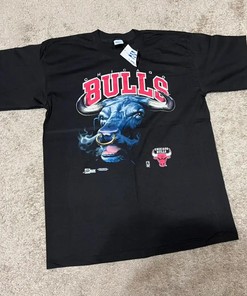 Vintage Chicago Bulls T Shirt Hoodie Sweatshirt Full Size Full Color Gift for Chicago Bulls Fans