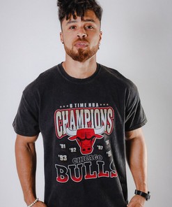 Vintage NBA 90s Chicago Bulls Logo Champions Logo Shirt Sweatshirt Hoodie Gifts for Fans